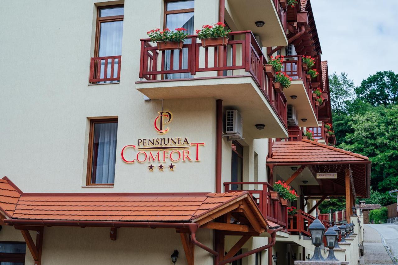 Pensiunea Comfort ソバタ エクステリア 写真